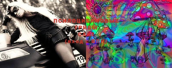 PSILOCYBIN Киреевск