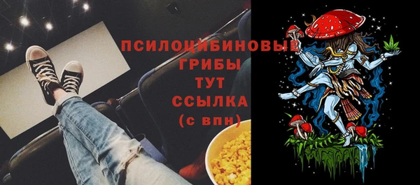 PSILOCYBIN Киреевск